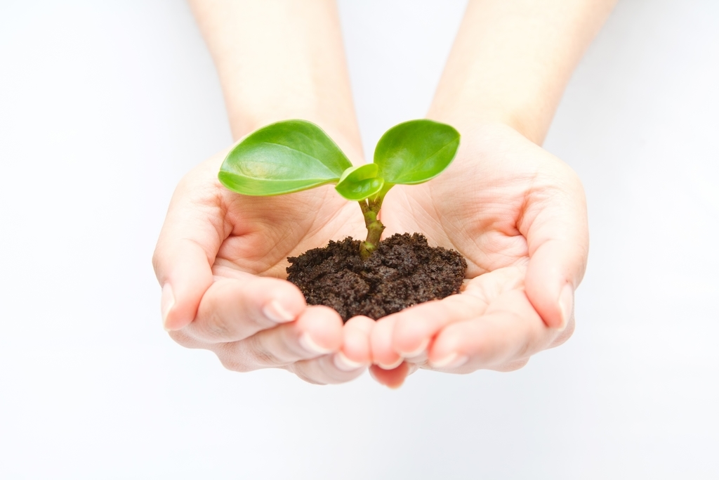 f:id:raphael-archangel:20190213200529j:plain