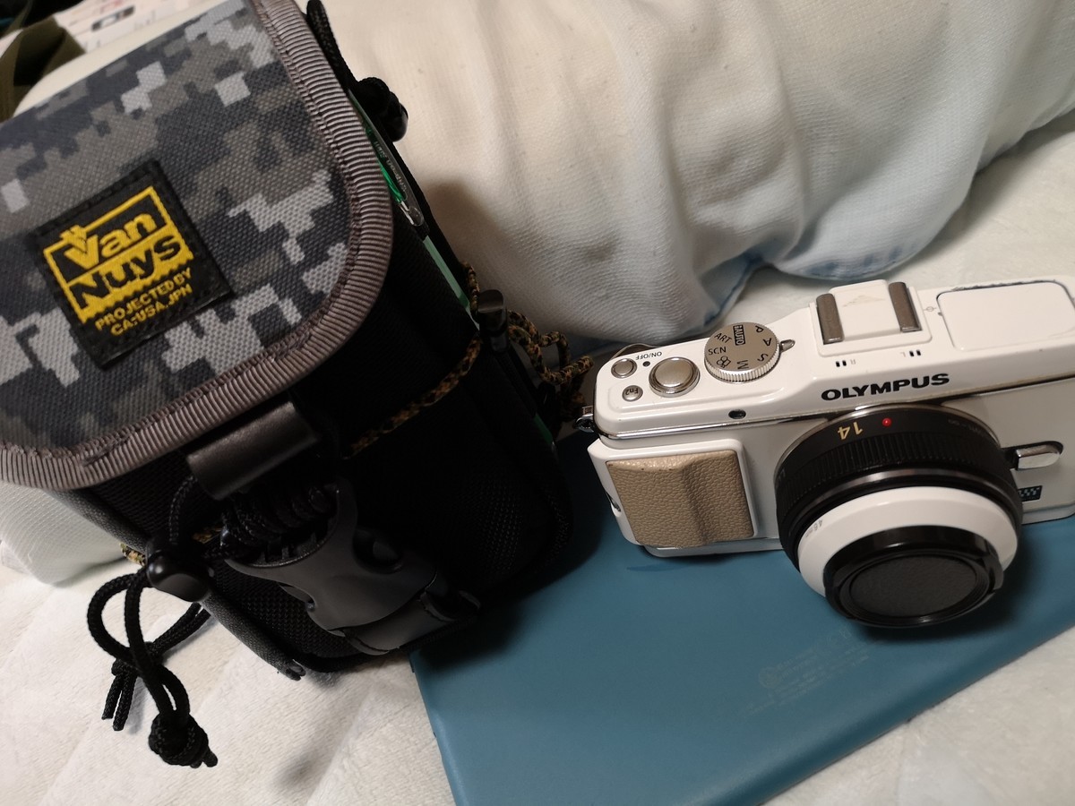 f:id:rapids827:20201018180749j:plain