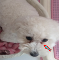 f:id:rapopi:20180813060050p:plain f:id:rapopi:20180813060050p:plain