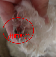 f:id:rapopi:20180820085323p:plain f:id:rapopi:20180820085323p:plain