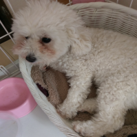 f:id:rapopi:20180820085622p:plain f:id:rapopi:20180820085622p:plain