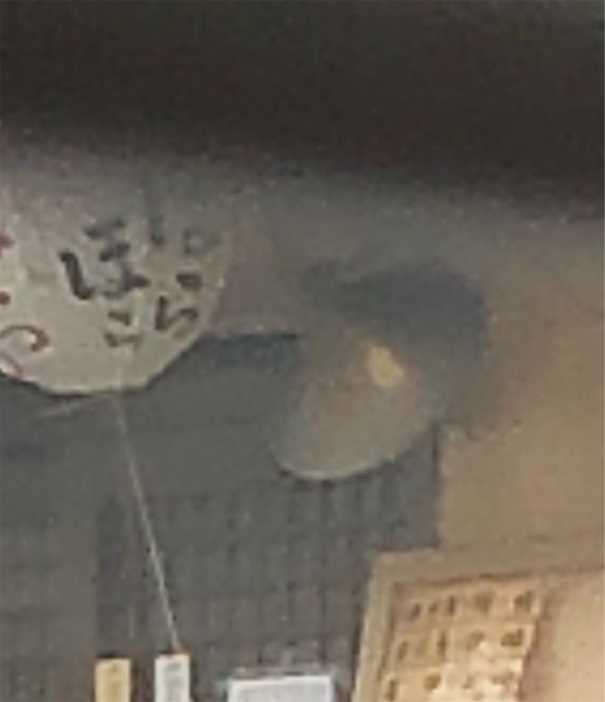 f:id:rappappaneko:20190831174823j:image f:id:rappappaneko:20190831174823j:image