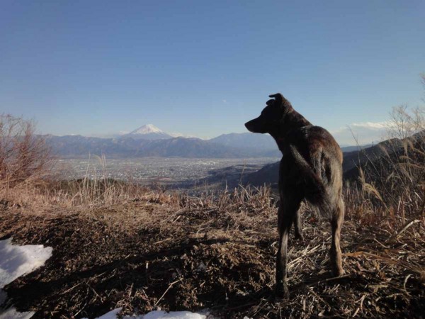 f:id:raptor-a:20130216155023j:image