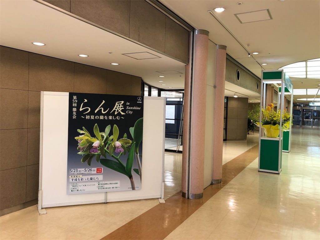 f:id:raptor4979:20190527190638j:image f:id:raptor4979:20190527190638j:image