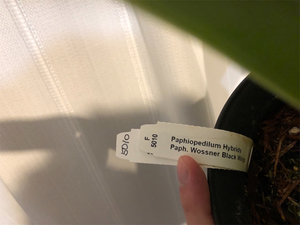 f:id:raptor4979:20190531163740j:image f:id:raptor4979:20190531163740j:image