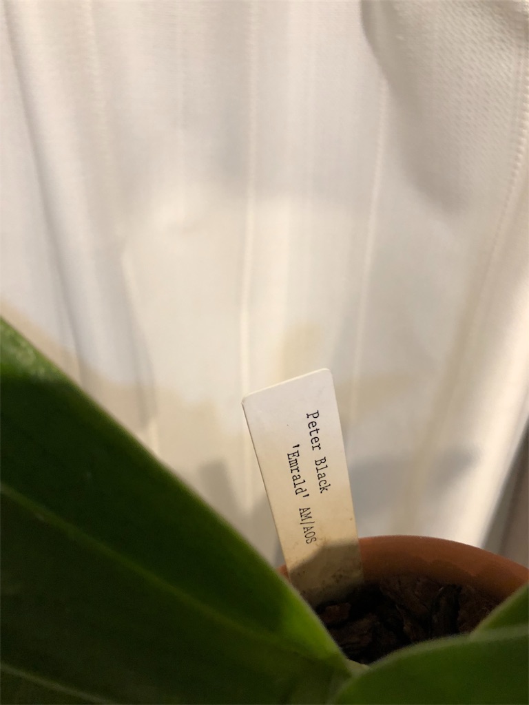 f:id:raptor4979:20190531163744j:image f:id:raptor4979:20190531163744j:image
