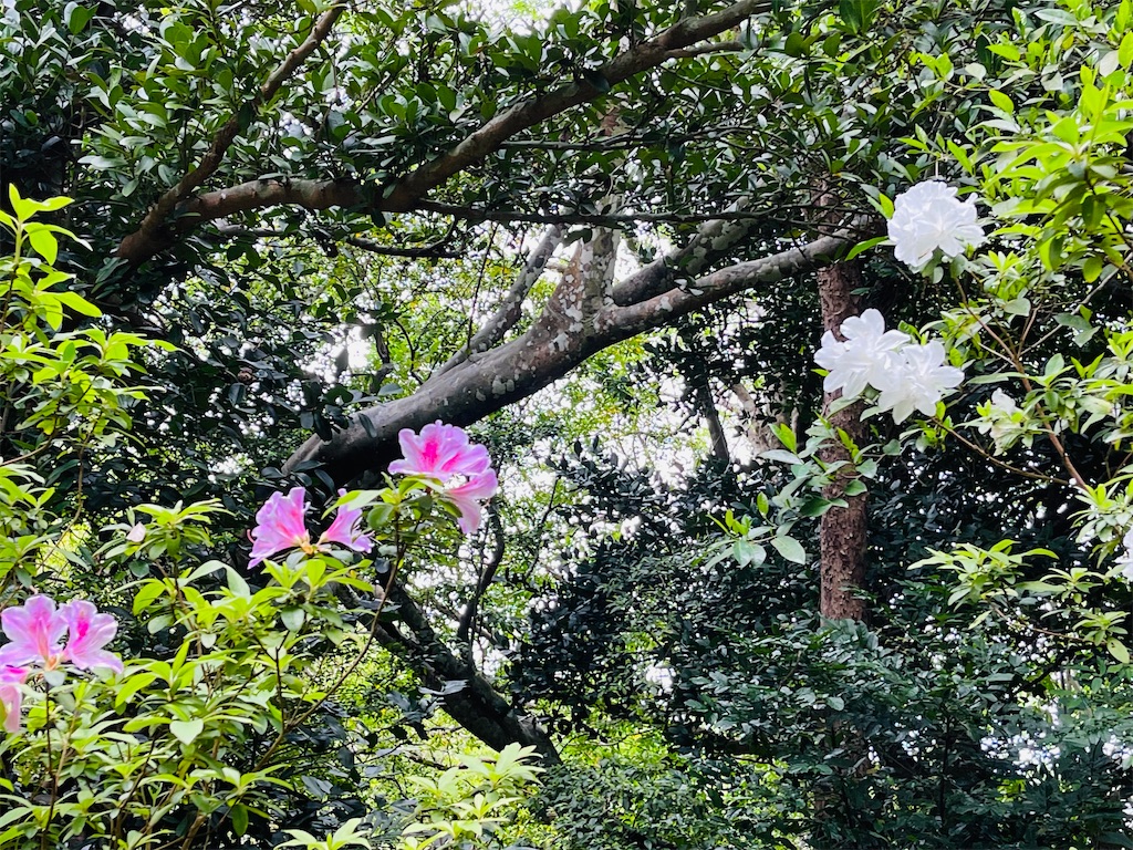 f:id:raramikan:20220320204905j:image f:id:raramikan:20220320204905j:image