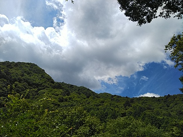 f:id:raraovo:20250805031258j:image f:id:raraovo:20250805031258j:image