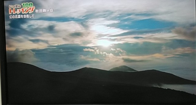 f:id:raraovo:20250807220355j:image f:id:raraovo:20250807220355j:image