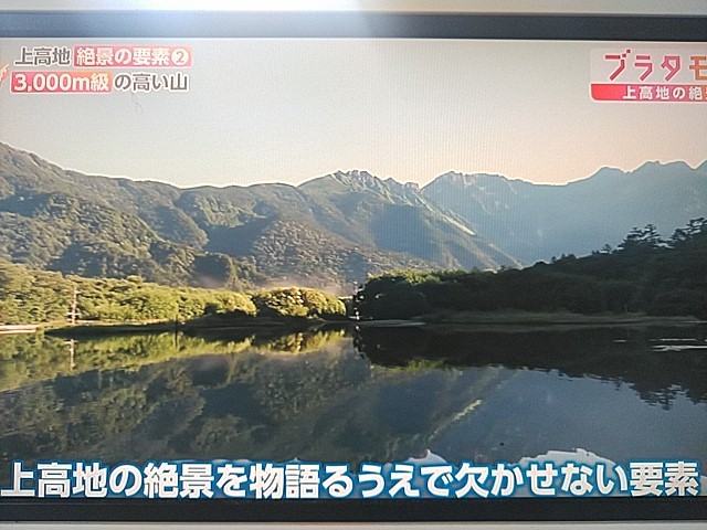 f:id:raraovo:20251006203643j:image f:id:raraovo:20251006203643j:image