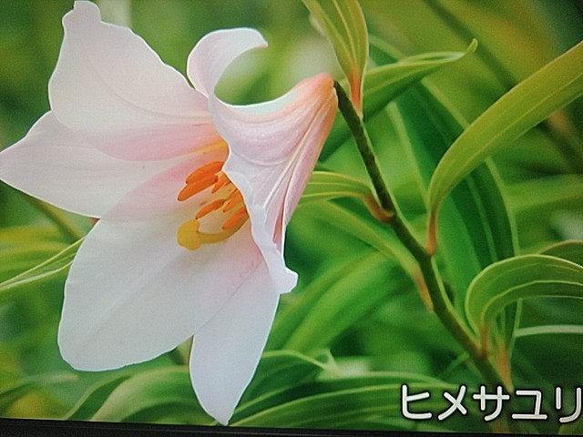 f:id:raraovo:20251006203732j:image f:id:raraovo:20251006203732j:image
