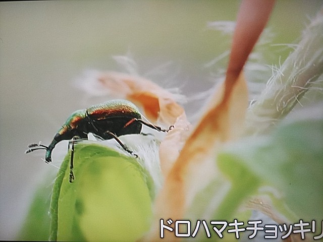 f:id:raraovo:20251006203757j:image f:id:raraovo:20251006203757j:image