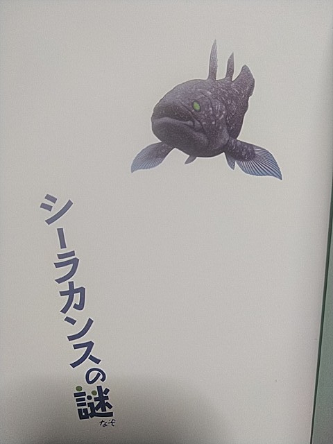 f:id:raraovo:20251011235207j:image f:id:raraovo:20251011235207j:image
