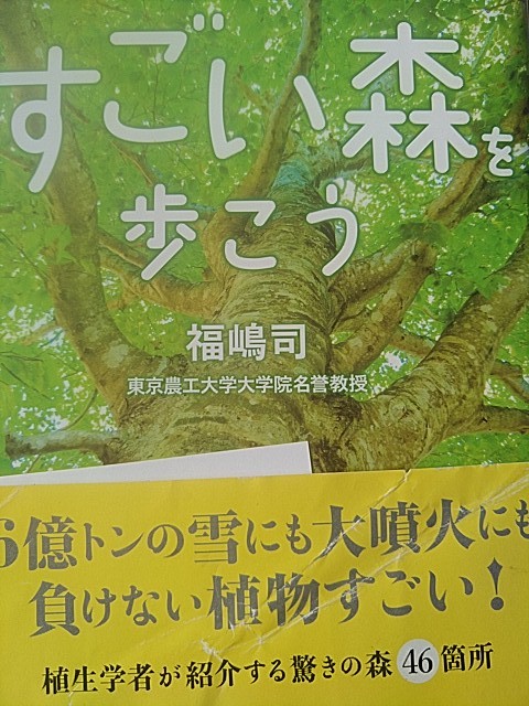 f:id:raraovo:20251012103150j:image f:id:raraovo:20251012103150j:image