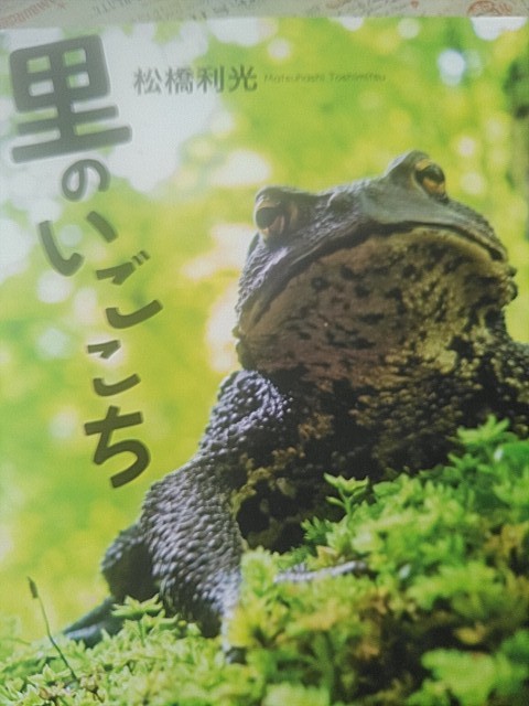 f:id:raraovo:20251012103257j:image f:id:raraovo:20251012103257j:image