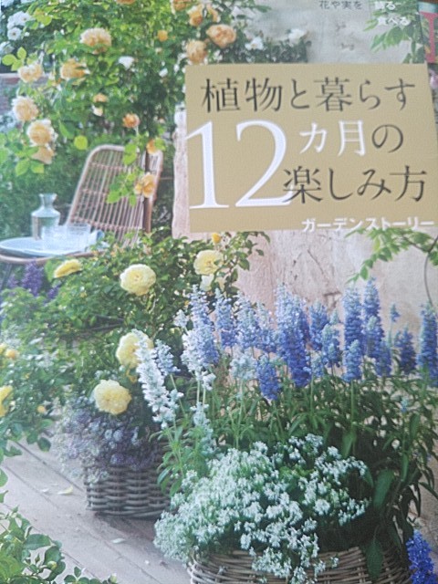 f:id:raraovo:20251021085821j:image f:id:raraovo:20251021085821j:image
