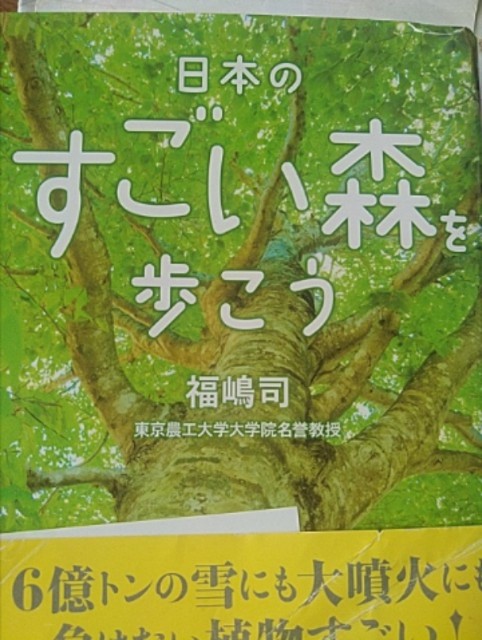 f:id:raraovo:20251021090636j:image f:id:raraovo:20251021090636j:image