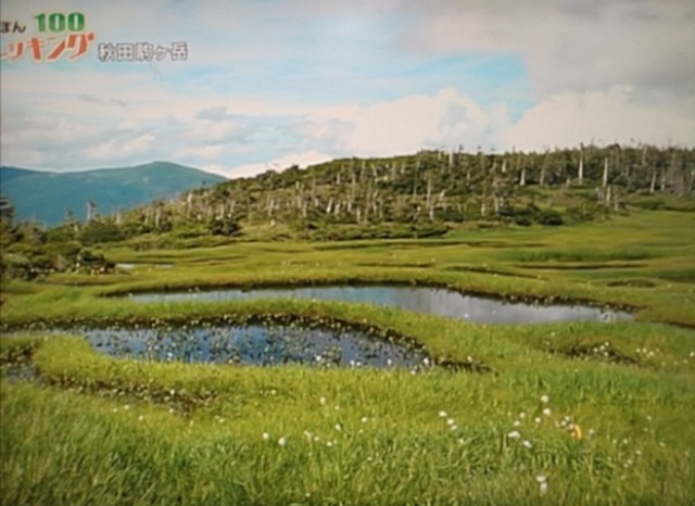 f:id:raraovo:20251021130529j:image f:id:raraovo:20251021130529j:image