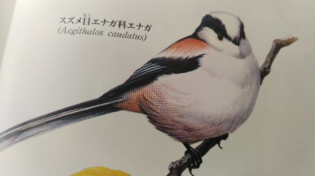 f:id:raraovo:20251114092225j:image f:id:raraovo:20251114092225j:image