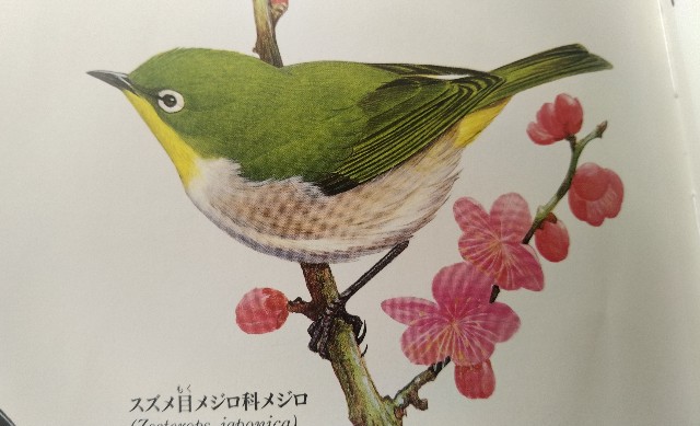 f:id:raraovo:20251114092234j:image f:id:raraovo:20251114092234j:image