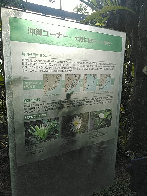 f:id:raraovo:20251120100825j:image f:id:raraovo:20251120100825j:image