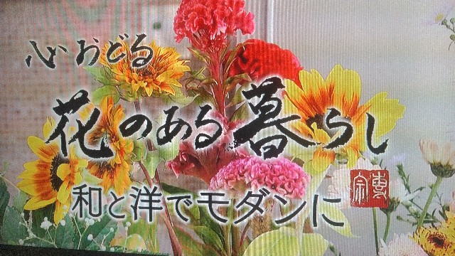 f:id:raraovo:20251120223012j:image f:id:raraovo:20251120223012j:image