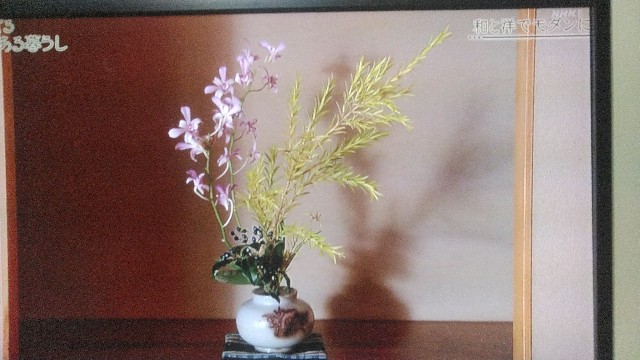 f:id:raraovo:20251120223334j:image f:id:raraovo:20251120223334j:image