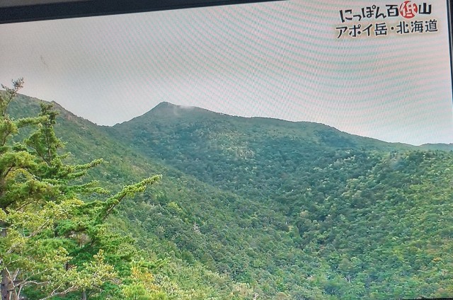 f:id:raraovo:20251122172508j:image f:id:raraovo:20251122172508j:image