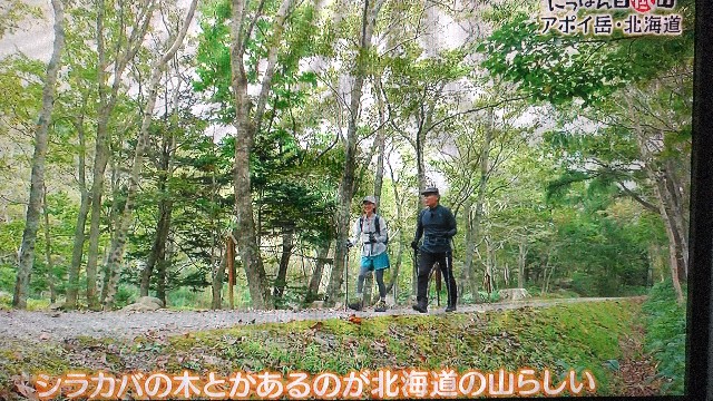 f:id:raraovo:20251122172617j:image f:id:raraovo:20251122172617j:image
