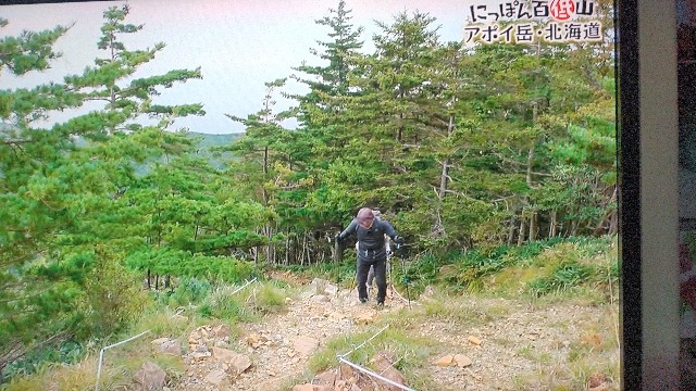 f:id:raraovo:20251122172656j:image f:id:raraovo:20251122172656j:image