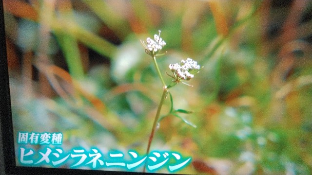 f:id:raraovo:20251122172826j:image f:id:raraovo:20251122172826j:image