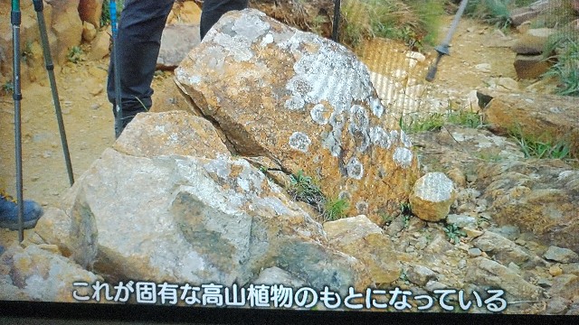 f:id:raraovo:20251122172840j:image f:id:raraovo:20251122172840j:image