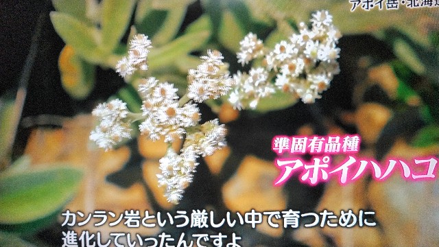 f:id:raraovo:20251122172914j:image f:id:raraovo:20251122172914j:image