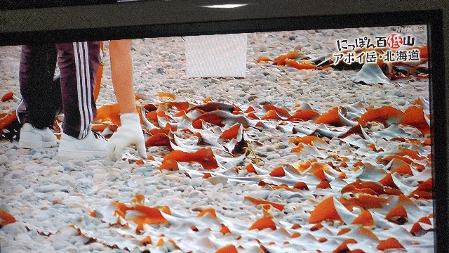 f:id:raraovo:20251122172956j:image f:id:raraovo:20251122172956j:image