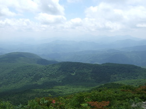 f:id:rararapocari:20070708121531j:image