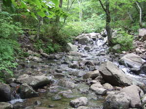 f:id:rararapocari:20070708130424j:image