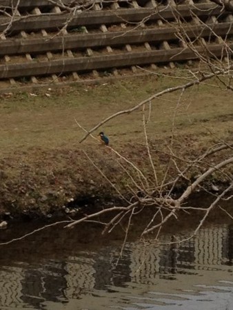 f:id:rararapocari:20120205132138j:image:h300