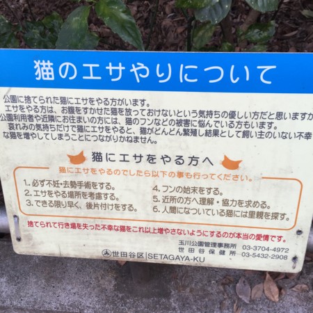 f:id:rararapocari:20160228073425j:image