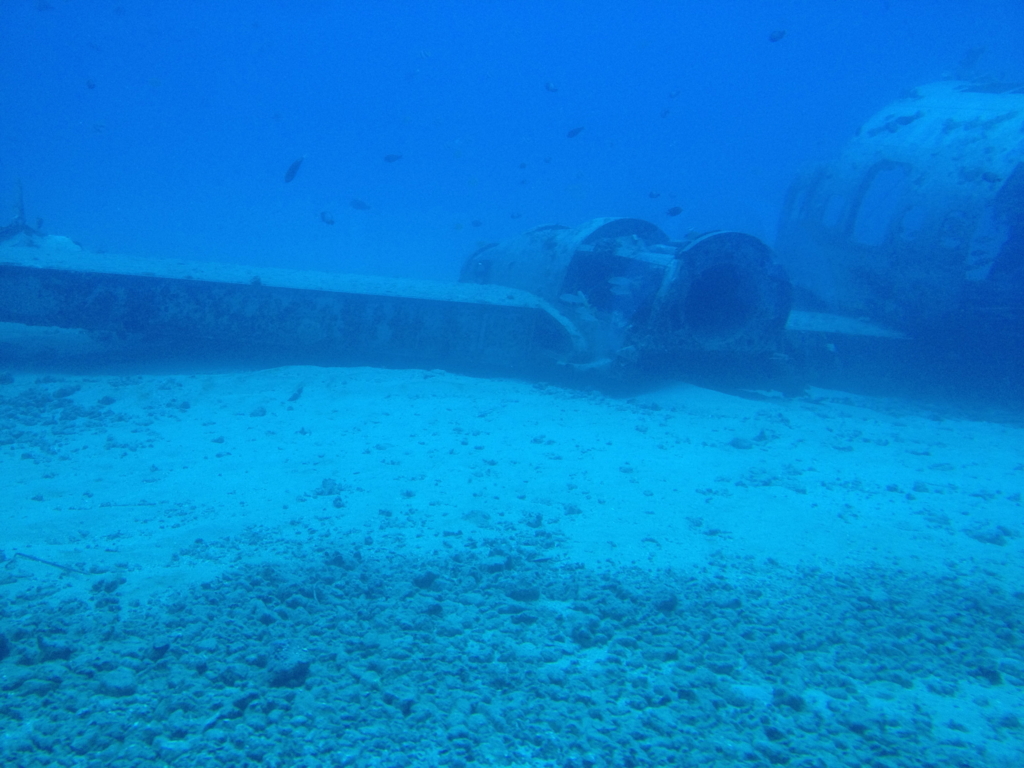ハワイ オアフ島 観光用潜水艦 「アトランティス」よりの海中 飛行機