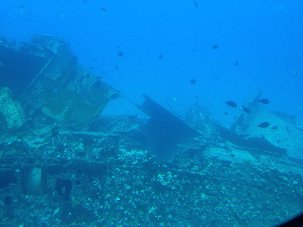 ハワイ オアフ島 観光用潜水艦 「アトランティス」よりの海中 沈船