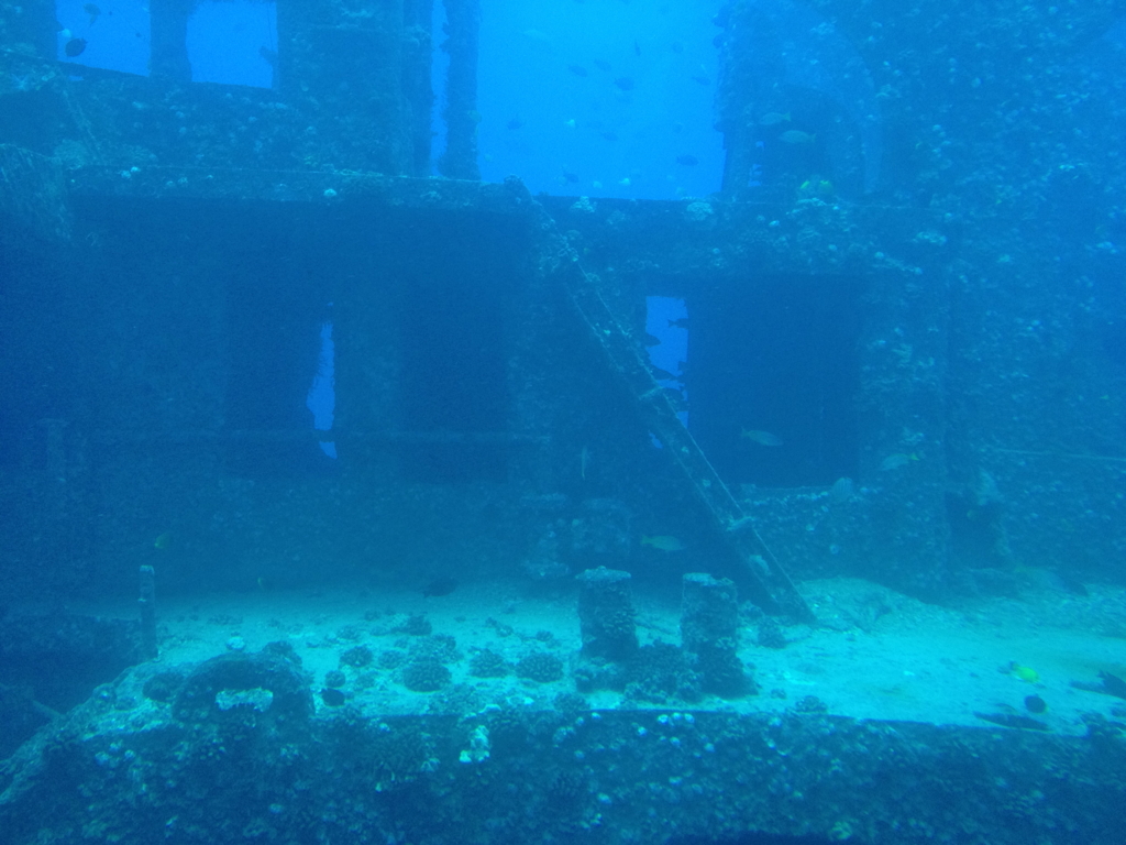 ハワイ オアフ島 観光用潜水艦 「アトランティス」よりの海中 沈船