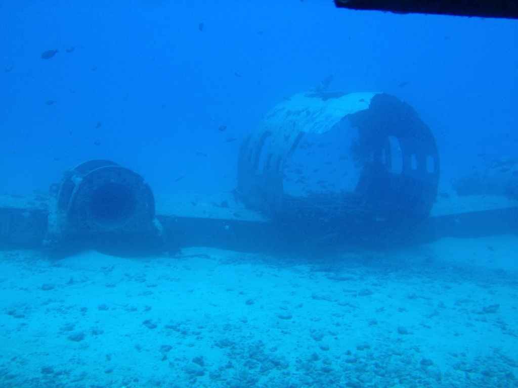 ハワイ オアフ島 観光用潜水艦 「アトランティス」よりの海中 飛行機、魚の住処