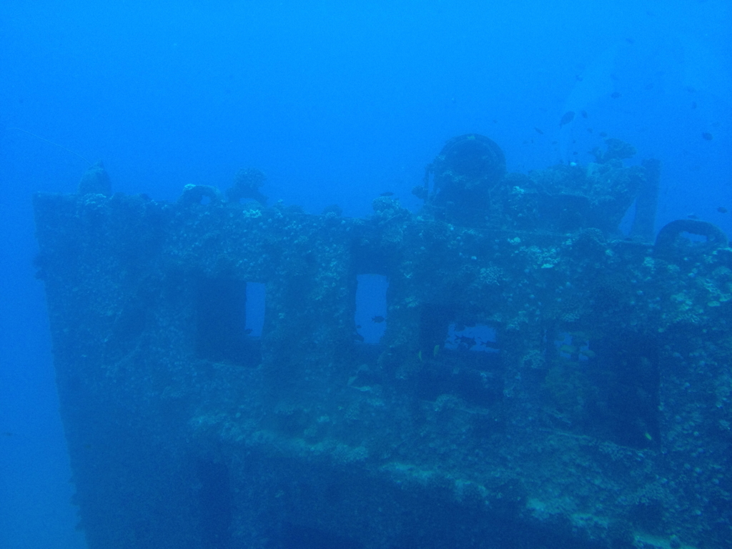 ハワイ オアフ島 観光用潜水艦 「アトランティス」よりの海中 タートル