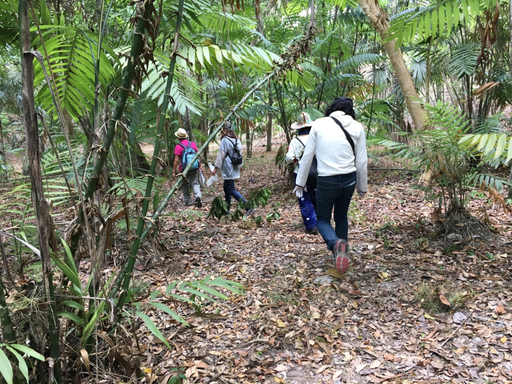 グアテマラ ティカル遺跡 「失われた世界」を後にジャングルへ