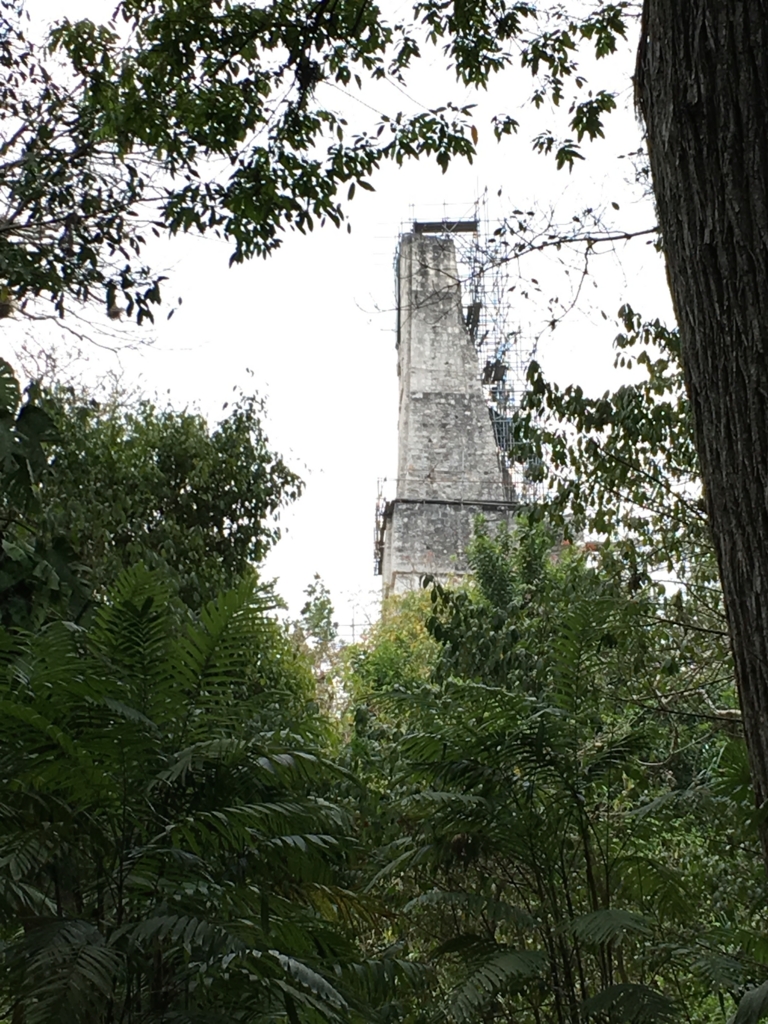 グアテマラ ティカル遺跡 「失われた世界」付近 3号神殿 遠望