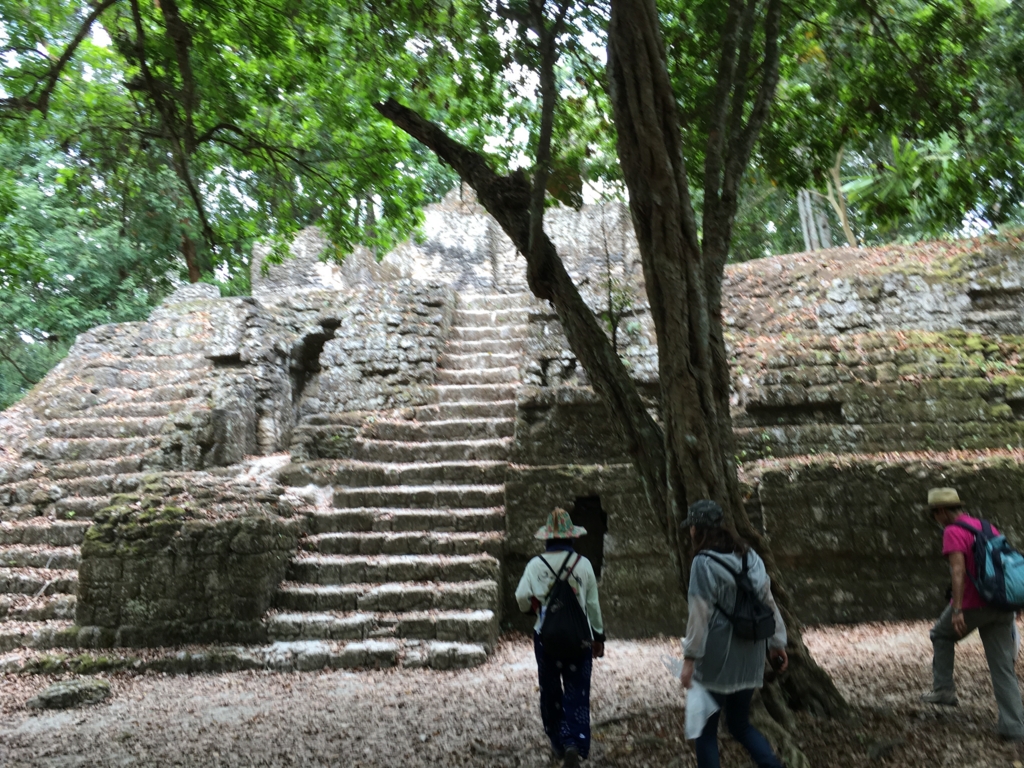 EXPEDITION TEMPLES OF THE MAYA
