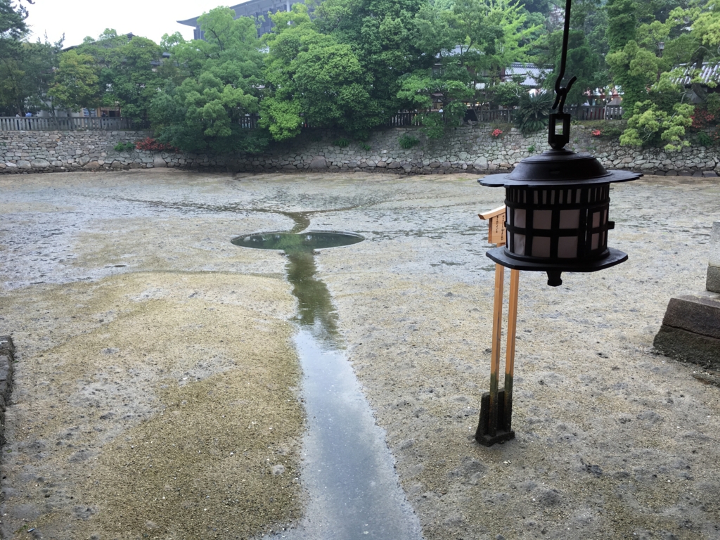 宮島 干潮時の 厳島神社 「鏡の池」 5月撮影