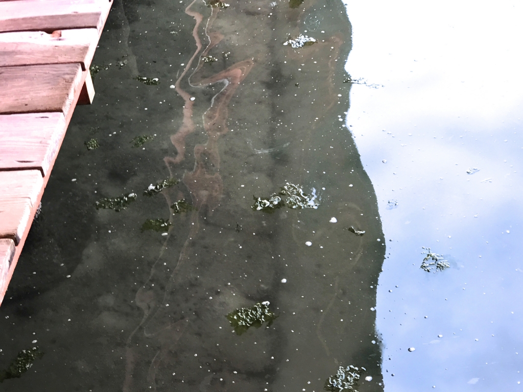 宮島 満潮時の 厳島神社 海水