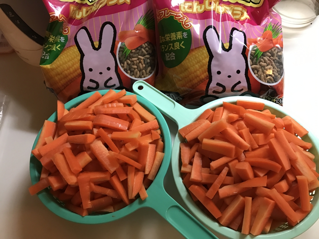 5回目のうさぎ島 大久野島 新たな うさぎ島情報 宿泊場所 餌