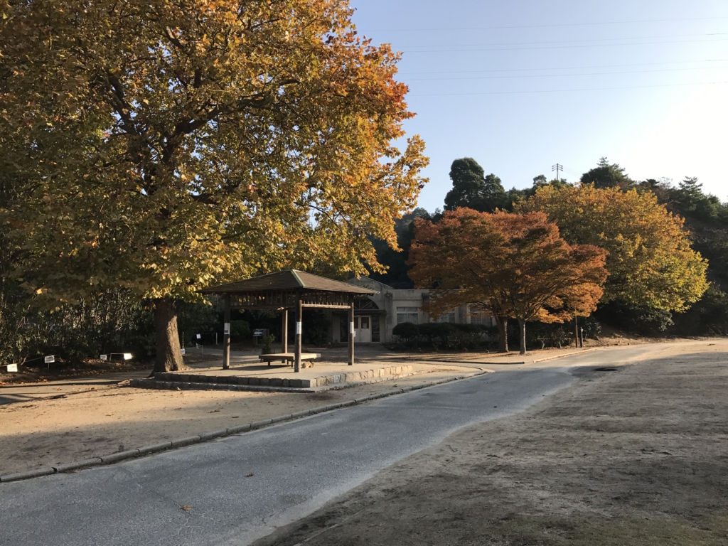 11月のうさぎ島(大久野島)紅葉